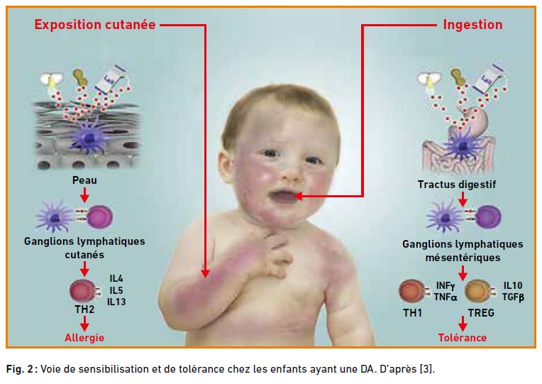 sensibilisation enfants