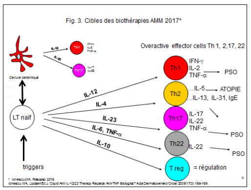 fig3-cibles-biotherapies