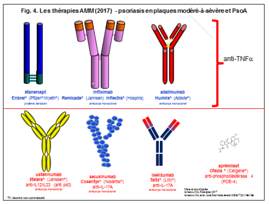 fig4-les therapies amm