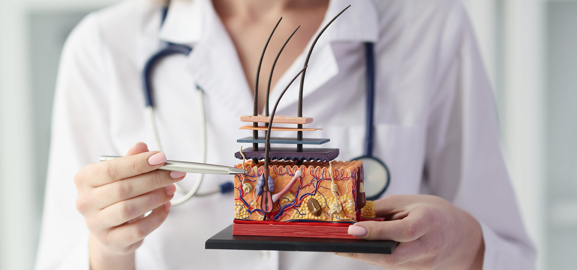 follicule pileux anomalie pelade follicule pileux anomalie pelade