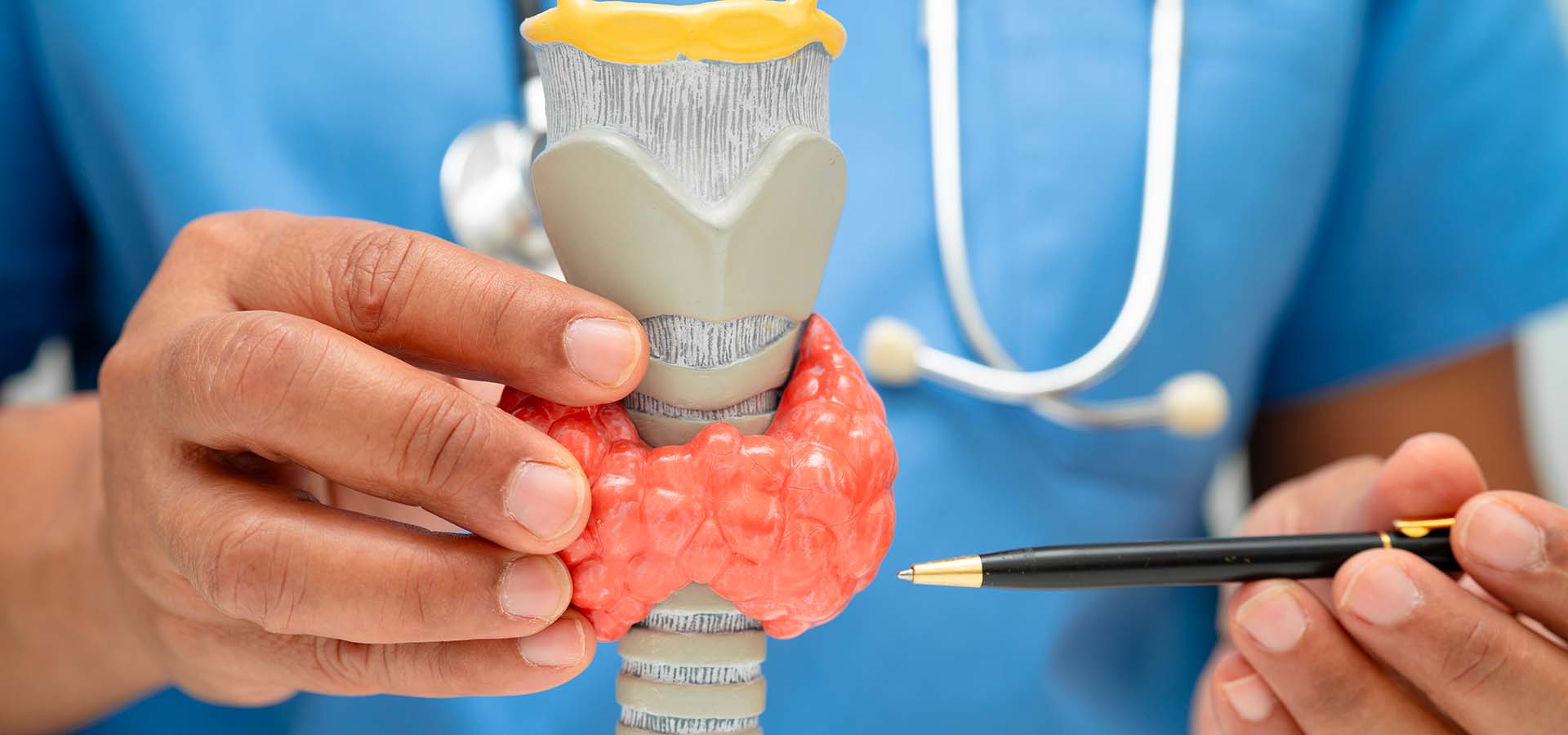 thyroide